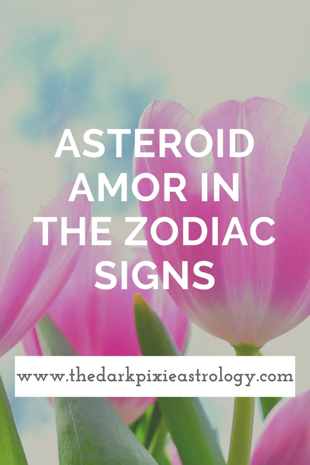 asteroids in astrology