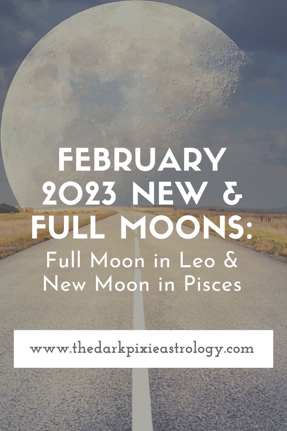 February 2023 New & Full Moons Full Moon in Leo & New Moon in Pisces The Dark Pixie Astrology