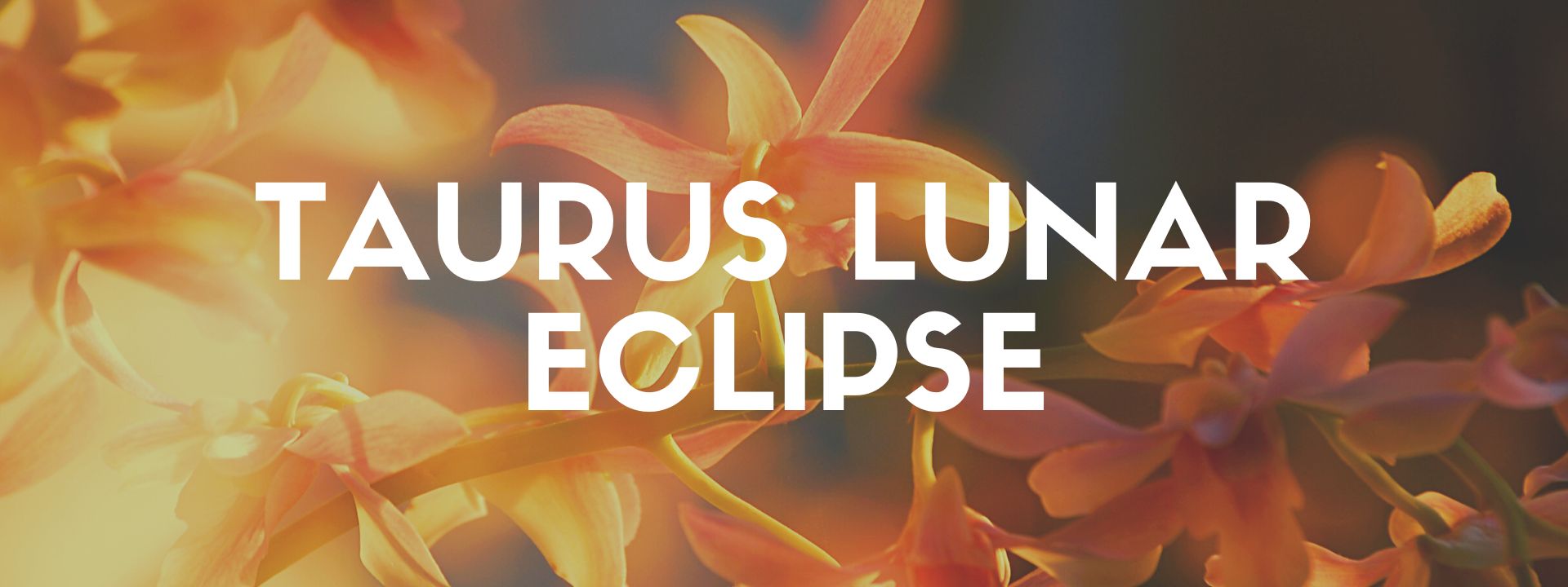 olar eclipse 2022 astrology