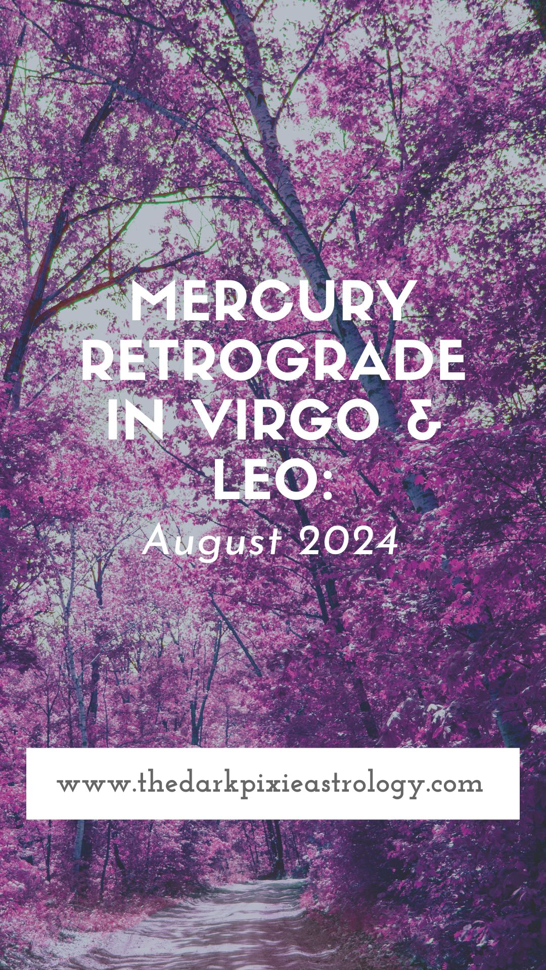 Mercury Retrograde in Virgo & Leo: August 2024 - The Dark Pixie Astrology