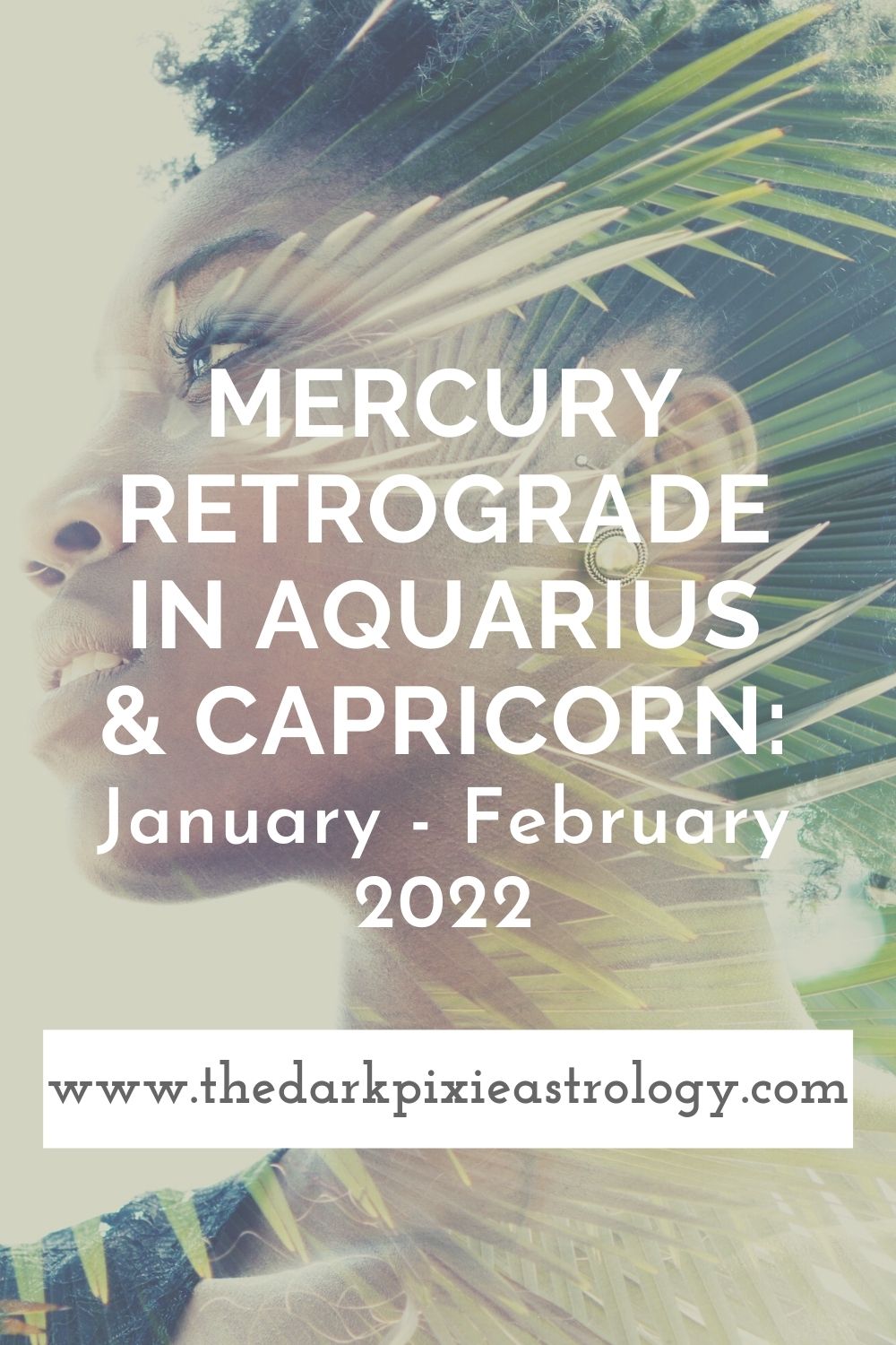Mercury Retrograde in Aquarius & Capricorn January February 2022