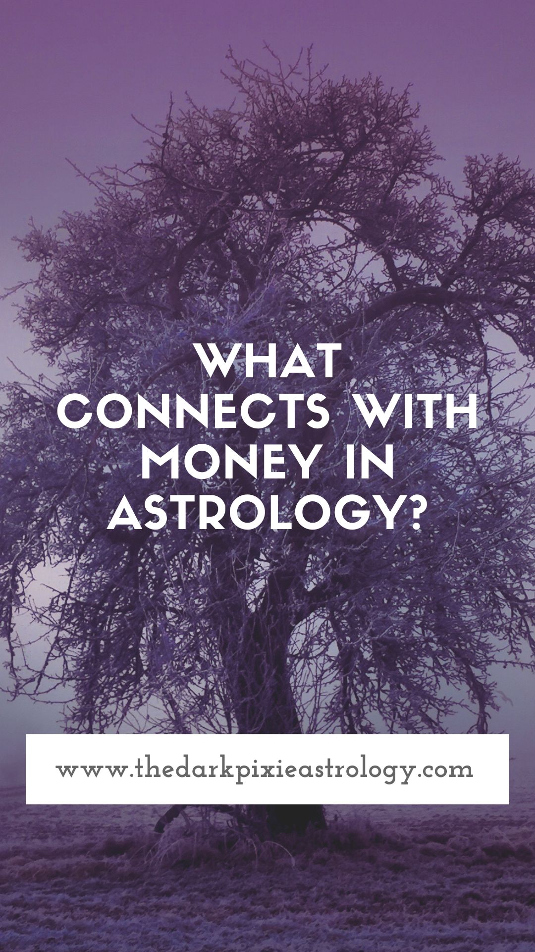 What Connects With Money in Astrology? - The Dark Pixie Astrology
